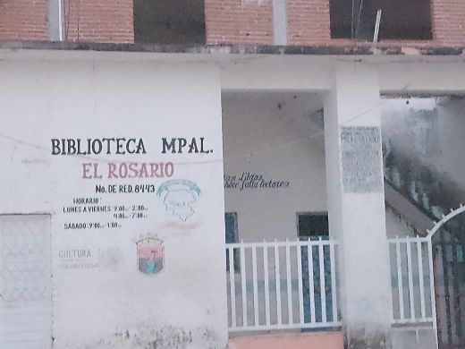 imagen1
